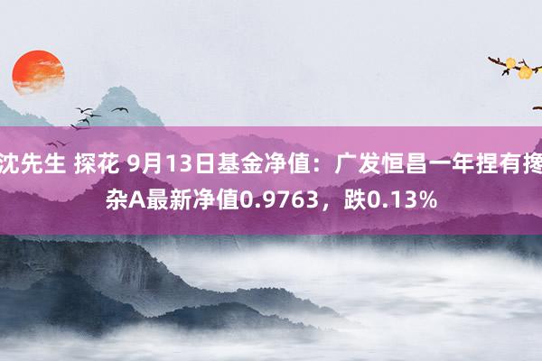 沈先生 探花 9月13日基金净值：广发恒昌一年捏有搀杂A最新净值0.9763，跌0.13%