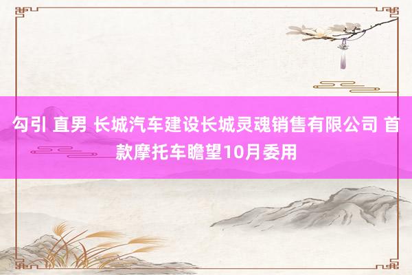 勾引 直男 长城汽车建设长城灵魂销售有限公司 首款摩托车瞻望10月委用