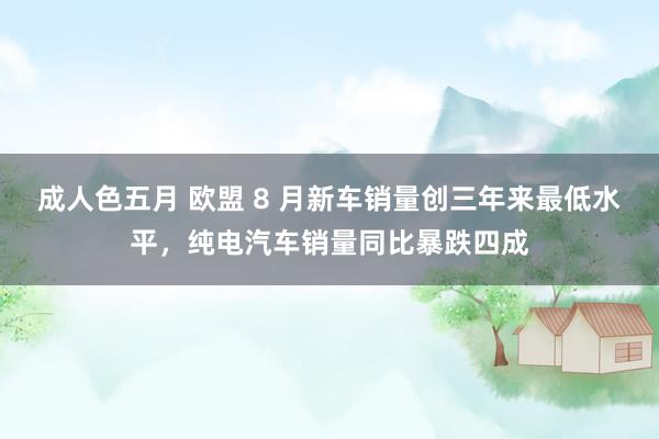 成人色五月 欧盟 8 月新车销量创三年来最低水平，纯电汽车销量同比暴跌四成