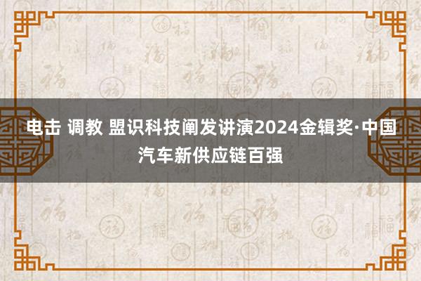 电击 调教 盟识科技阐发讲演2024金辑奖·中国汽车新供应链百强