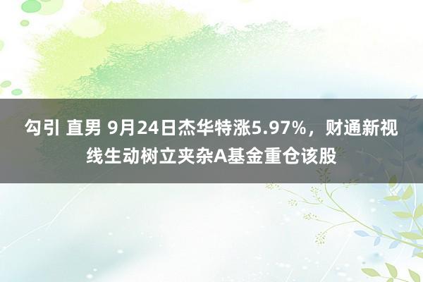 勾引 直男 9月24日杰华特涨5.97%，财通新视线生动树立夹杂A基金重仓该股