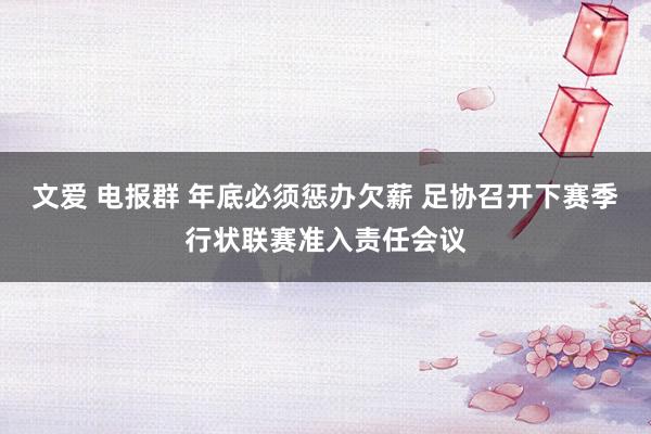 文爱 电报群 年底必须惩办欠薪 足协召开下赛季行状联赛准入责任会议