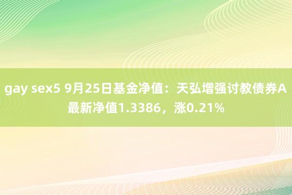 gay sex5 9月25日基金净值：天弘增强讨教债券A最新净值1.3386，涨0.21%