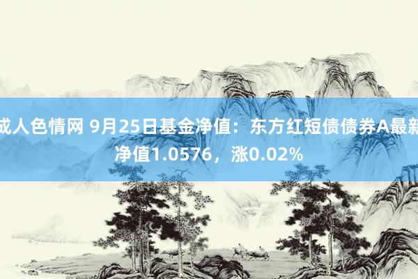 成人色情网 9月25日基金净值：东方红短债债券A最新净值1.0576，涨0.02%