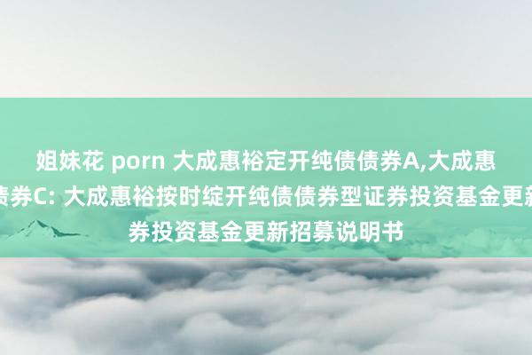 姐妹花 porn 大成惠裕定开纯债债券A，大成惠裕定开纯债债券C: 大成惠裕按时绽开纯债债券型证券投资基金更新招募说明书