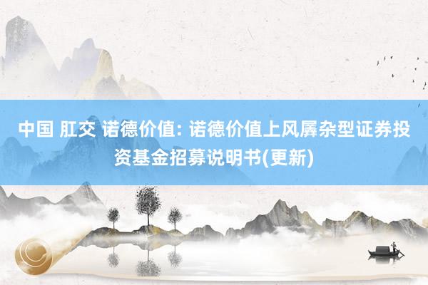 中国 肛交 诺德价值: 诺德价值上风羼杂型证券投资基金招募说明书(更新)