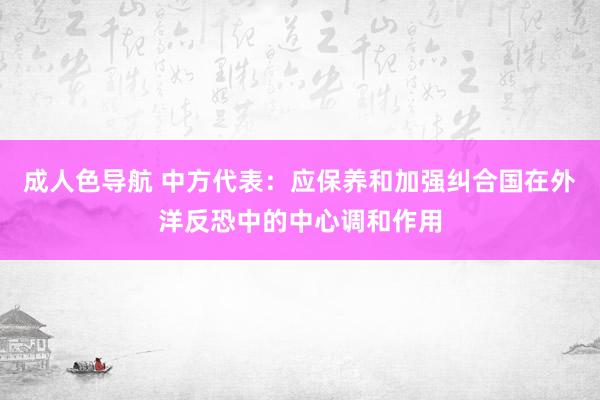 成人色导航 中方代表：应保养和加强纠合国在外洋反恐中的中心调和作用