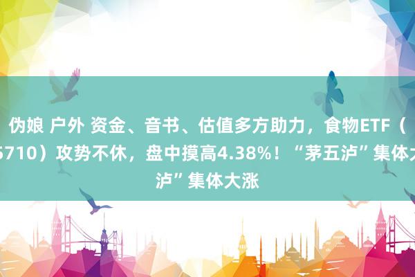 伪娘 户外 资金、音书、估值多方助力，食物ETF（515710）攻势不休，盘中摸高4.38%！“茅五泸”集体大涨