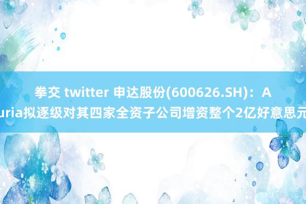 拳交 twitter 申达股份(600626.SH)：Auria拟逐级对其四家全资子公司增资整个2亿好意思元