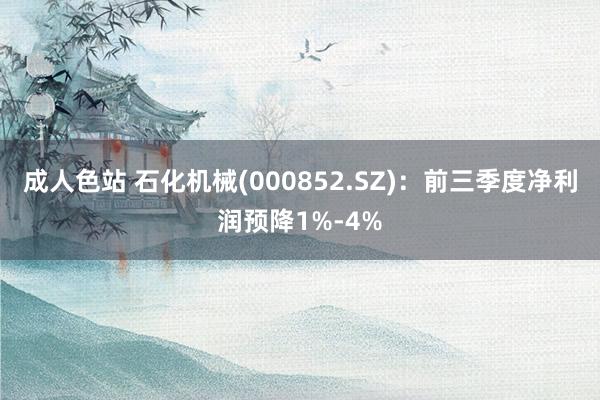 成人色站 石化机械(000852.SZ)：前三季度净利润预降1%-4%