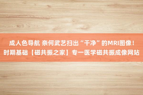 成人色导航 奈何武艺扫出“干净”的MRI图像！时期基础【磁共振之家】专一医学磁共振成像网站