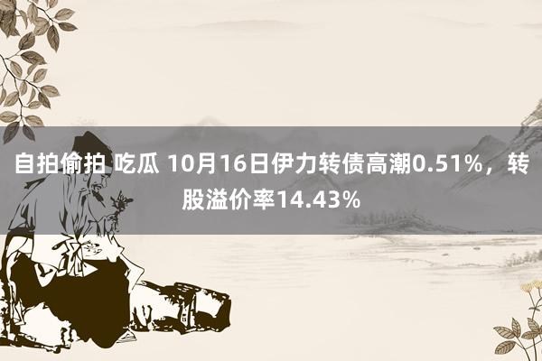 自拍偷拍 吃瓜 10月16日伊力转债高潮0.51%，转股溢价率14.43%