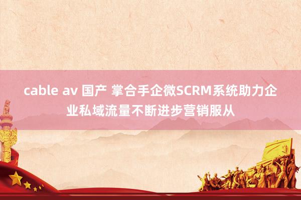 cable av 国产 掌合手企微SCRM系统助力企业私域流量不断进步营销服从