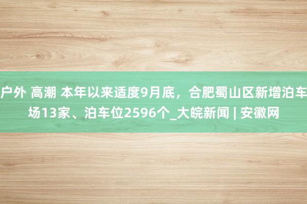 户外 高潮 本年以来适度9月底，合肥蜀山区新增泊车场13家、泊车位2596个_大皖新闻 | 安徽网