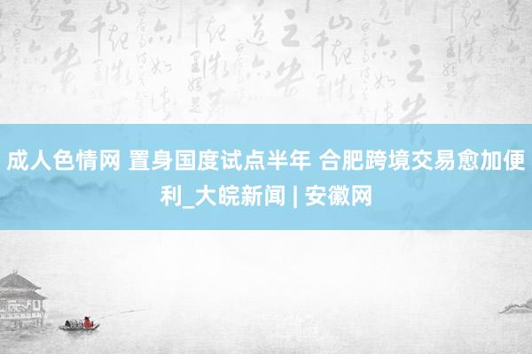 成人色情网 置身国度试点半年 合肥跨境交易愈加便利_大皖新闻 | 安徽网