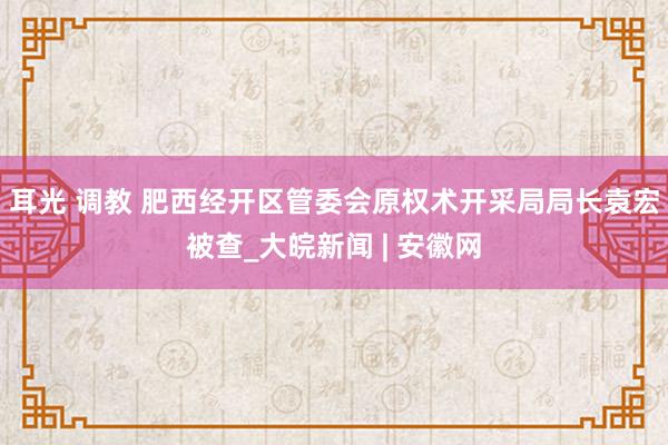 耳光 调教 肥西经开区管委会原权术开采局局长袁宏被查_大皖新闻 | 安徽网