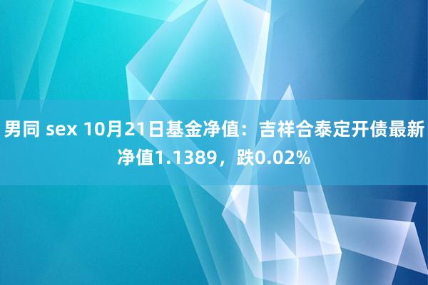 男同 sex 10月21日基金净值：吉祥合泰定开债最新净值1.1389，跌0.02%