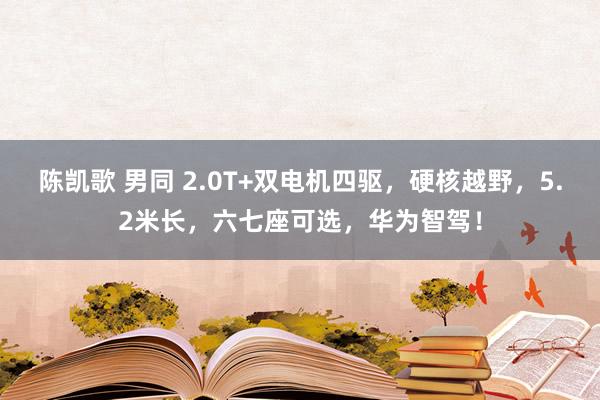 陈凯歌 男同 2.0T+双电机四驱，硬核越野，5.2米长，六七座可选，华为智驾！