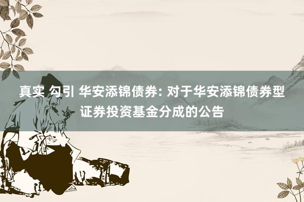 真实 勾引 华安添锦债券: 对于华安添锦债券型证券投资基金分成的公告