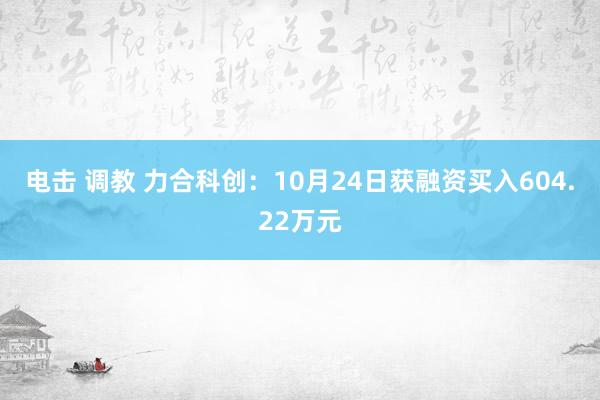 电击 调教 力合科创：10月24日获融资买入604.22万元