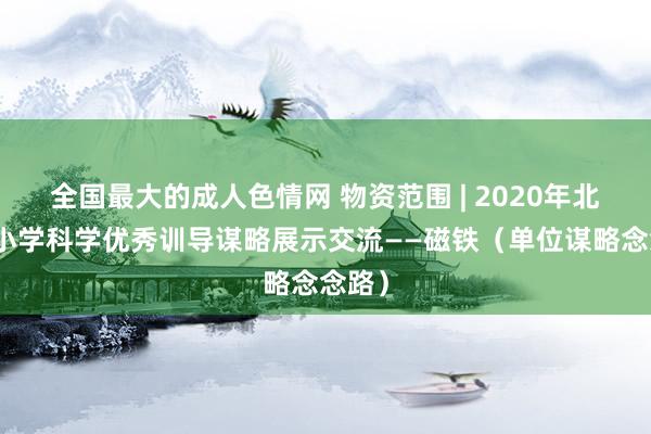 全国最大的成人色情网 物资范围 | 2020年北京市小学科学优秀训导谋略展示交流——磁铁（单位谋略念念路）