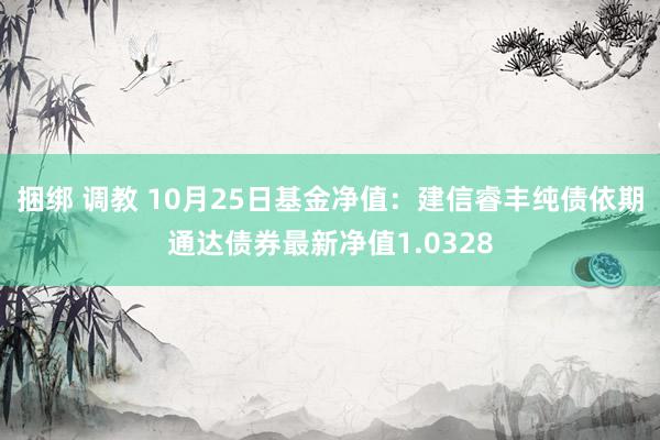 捆绑 调教 10月25日基金净值：建信睿丰纯债依期通达债券最新净值1.0328