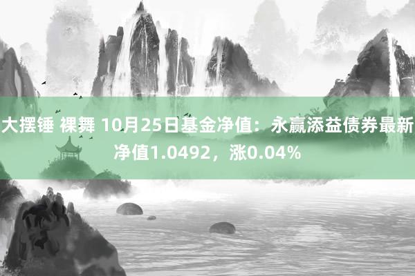 大摆锤 裸舞 10月25日基金净值：永赢添益债券最新净值1.0492，涨0.04%