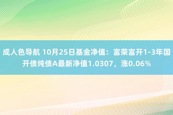 成人色导航 10月25日基金净值：富荣富开1-3年国开债纯债A最新净值1.0307，涨0.06%