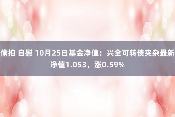 偷拍 自慰 10月25日基金净值：兴全可转债夹杂最新净值1.053，涨0.59%