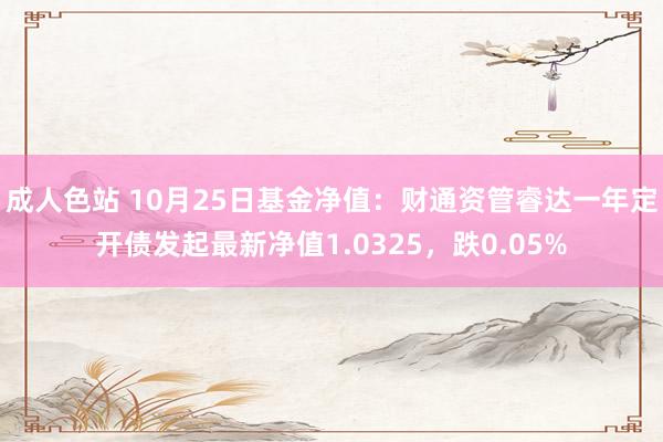 成人色站 10月25日基金净值：财通资管睿达一年定开债发起最新净值1.0325，跌0.05%