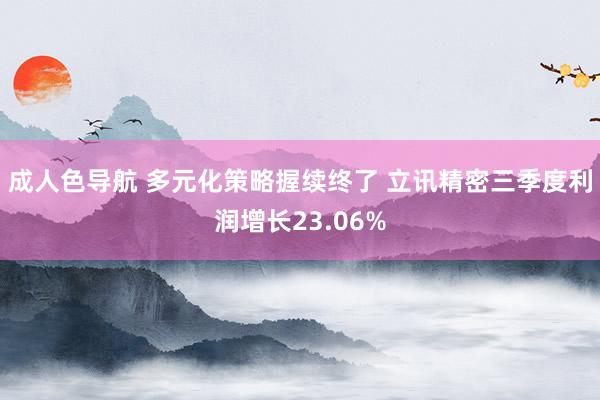 成人色导航 多元化策略握续终了 立讯精密三季度利润增长23.06%