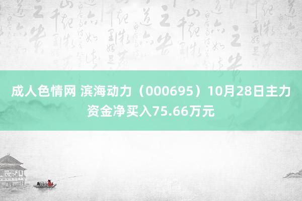 成人色情网 滨海动力（000695）10月28日主力资金净买入75.66万元