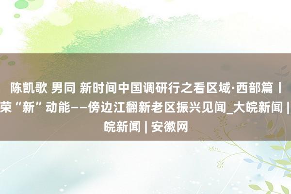 陈凯歌 男同 新时间中国调研行之看区域·西部篇丨老区繁荣“新”动能——傍边江翻新老区振兴见闻_大皖新闻 | 安徽网