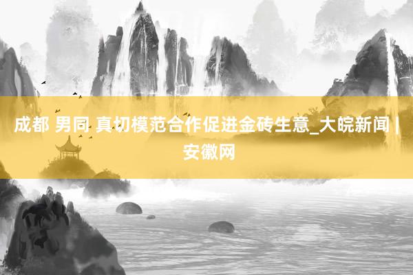 成都 男同 真切模范合作促进金砖生意_大皖新闻 | 安徽网