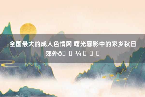 全国最大的成人色情网 曙光暮影中的家乡秋日郊外🌾 ​​​