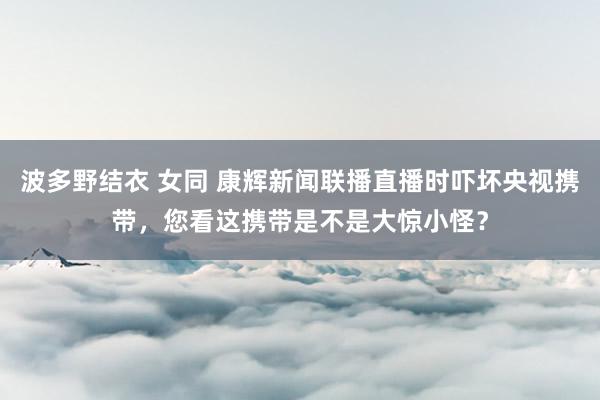 波多野结衣 女同 康辉新闻联播直播时吓坏央视携带，您看这携带是不是大惊小怪？