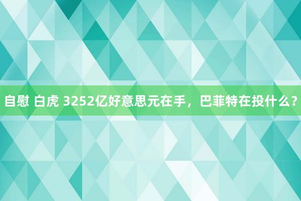 自慰 白虎 3252亿好意思元在手，巴菲特在投什么？