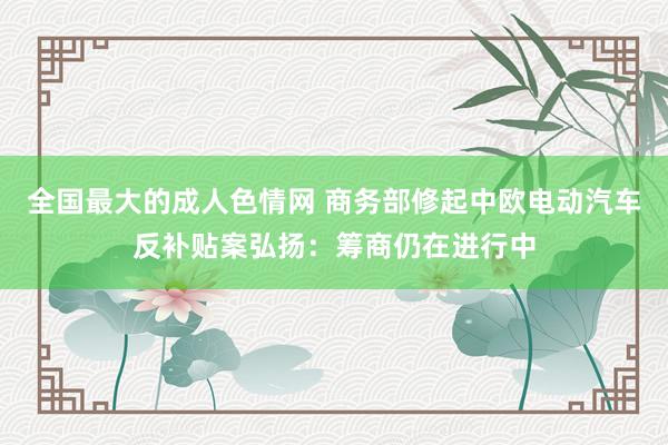 全国最大的成人色情网 商务部修起中欧电动汽车反补贴案弘扬：筹商仍在进行中