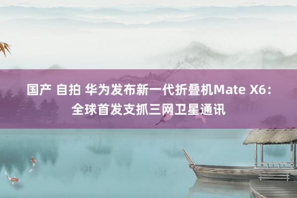 国产 自拍 华为发布新一代折叠机Mate X6：全球首发支抓三网卫星通讯