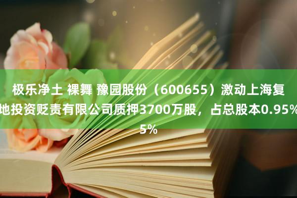 极乐净土 裸舞 豫园股份（600655）激动上海复地投资贬责有限公司质押3700万股，占总股本0.95%