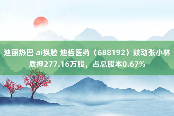 迪丽热巴 ai换脸 迪哲医药（688192）鼓动张小林质押277.16万股，占总股本0.67%