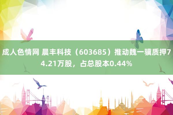 成人色情网 晨丰科技（603685）推动魏一骥质押74.21万股，占总股本0.44%