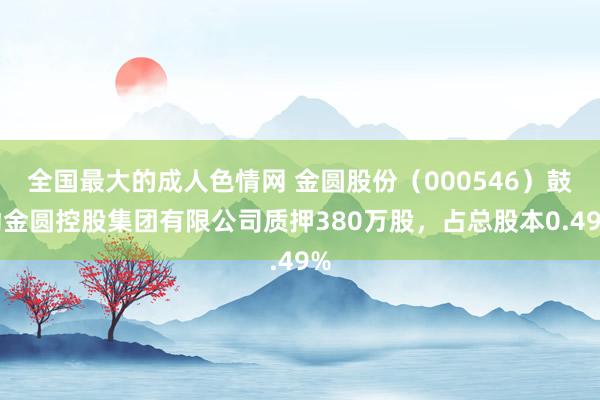 全国最大的成人色情网 金圆股份（000546）鼓动金圆控股集团有限公司质押380万股，占总股本0.49%