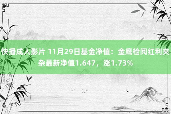 快播成人影片 11月29日基金净值：金鹰检阅红利夹杂最新净值1.647，涨1.73%