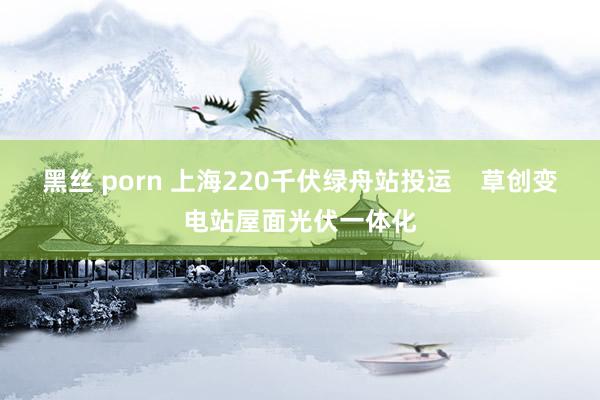 黑丝 porn 上海220千伏绿舟站投运    草创变电站屋面光伏一体化