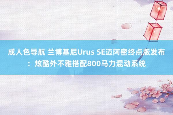 成人色导航 兰博基尼Urus SE迈阿密终点版发布：炫酷外不雅搭配800马力混动系统