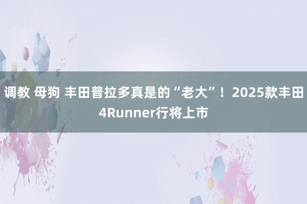 调教 母狗 丰田普拉多真是的“老大”！2025款丰田4Runner行将上市