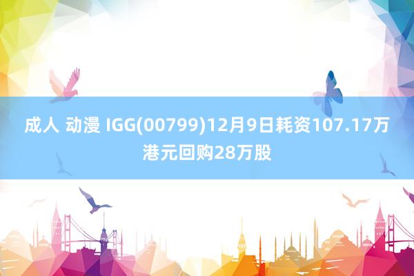 成人 动漫 IGG(00799)12月9日耗资107.17万港元回购28万股