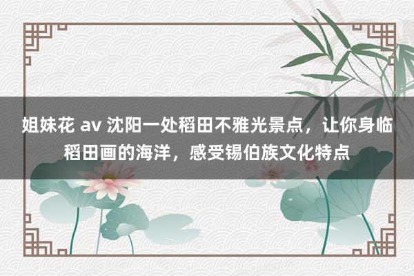 姐妹花 av 沈阳一处稻田不雅光景点，让你身临稻田画的海洋，感受锡伯族文化特点