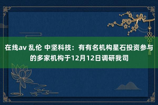 在线av 乱伦 中坚科技：有有名机构星石投资参与的多家机构于12月12日调研我司